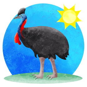 Cassowary vector