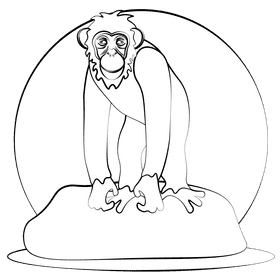 Chimpanzee black and white clipart