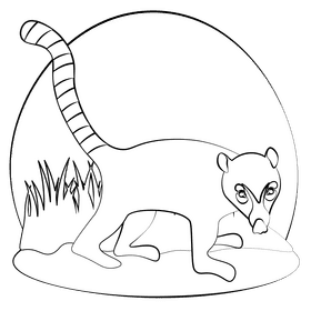 Coati black and white clipart