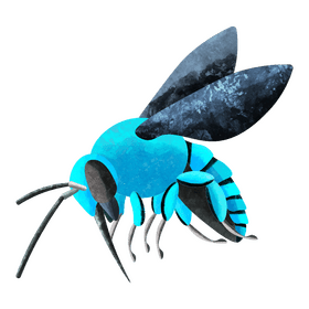 Cuckoo bee clipart