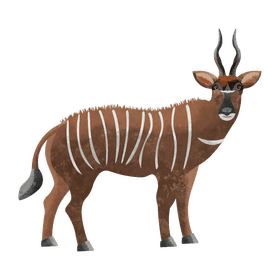 Eastern bongo clipart