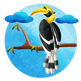 Great hornbill vector
