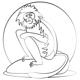 King colobus black and white clipart