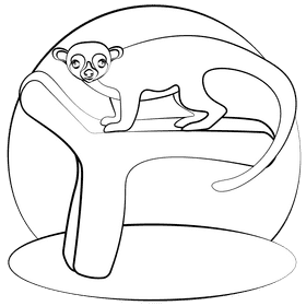 Kinkajou black and white clipart