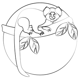 Marmoset black and white clipart