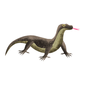 Monitor lizard clipart