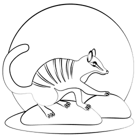 Numbat black and white clipart