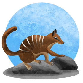 Numbat vector