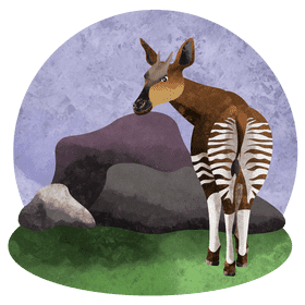 Okapi vector