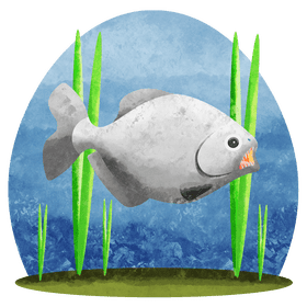 Piranha vector
