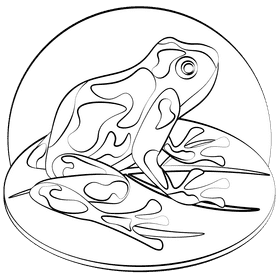 Poison dart frog black and white clipart