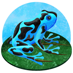Poison dart frog vector