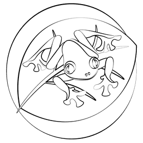 Red eyed tree frog black and white clipart