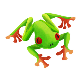 Red eyed tree frog clipart