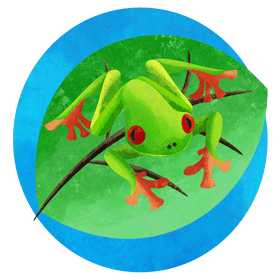 Red eyed tree frog vector