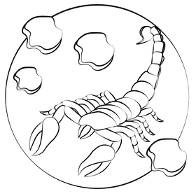 Scorpion black and white clipart
