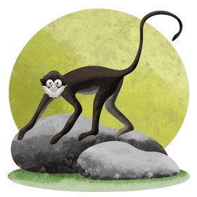 Spider monkey vector