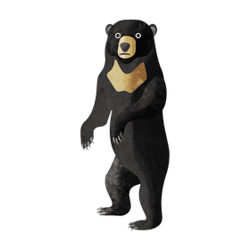 Sunbear clipart