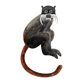 Tamarin monkey clipart