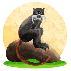 Tamarin monkey vector