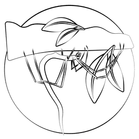 Twig spider black and white clipart