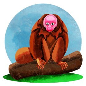 Bald uakari vector