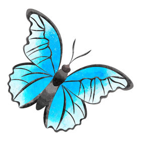 Blue morpho butterfly clipart