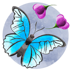 Blue morpho butterfly vector