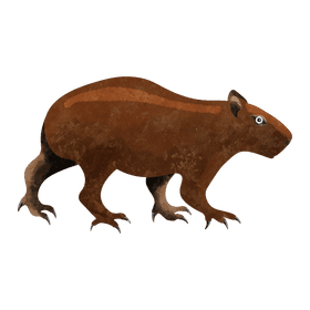 Capybara clipart