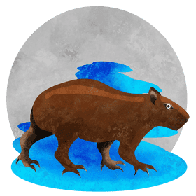 Capybara vector
