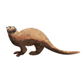 Giant otter clipart
