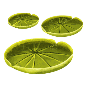 Giant water lilies clipart