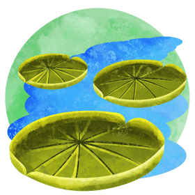Giant water lilies vector