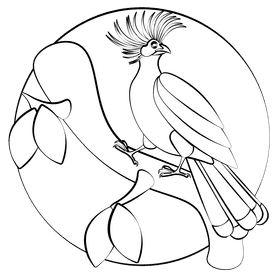 Hoatzin black and white clipart