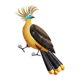 Hoatzin clipart