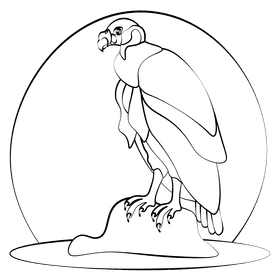 King vulture black and white clipart