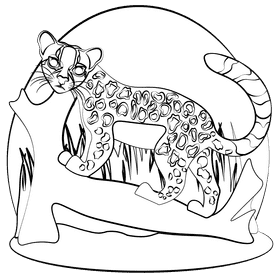 Margay black and white clipart