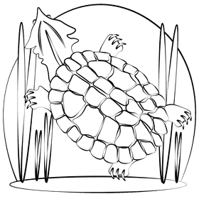 Mata mata turtle black and white clipart