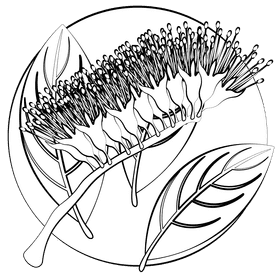Monkey brush vine black and white clipart