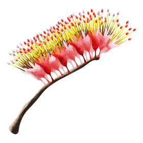 Monkey brush vine clipart