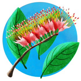 Monkey brush vine vector