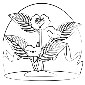 Psychotria elata black and white clipart