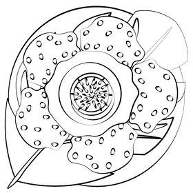 Rafflesia black and white clipart