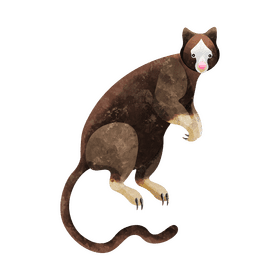 Tree kangaroo clipart