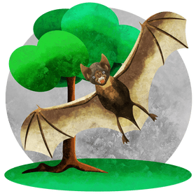 Vampire bat vector
