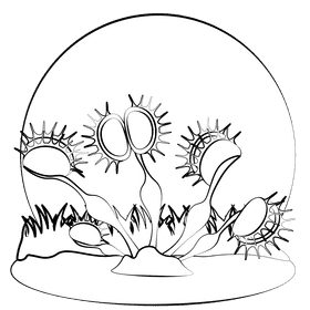 Venus fly trap black and white clipart
