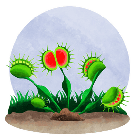 Venus fly trap vector