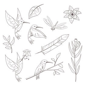 Hummingbird set black and white vector