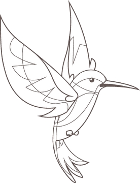 Hummingbird black and white clipart