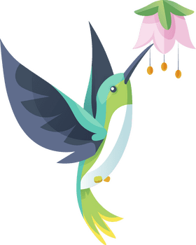 Hummingbird clipart